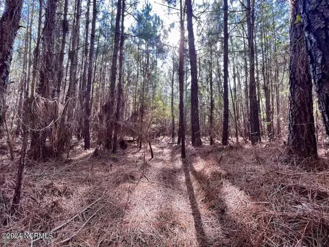 794 Wheaton Point Rd, Aurora, NC 27806 photo 28