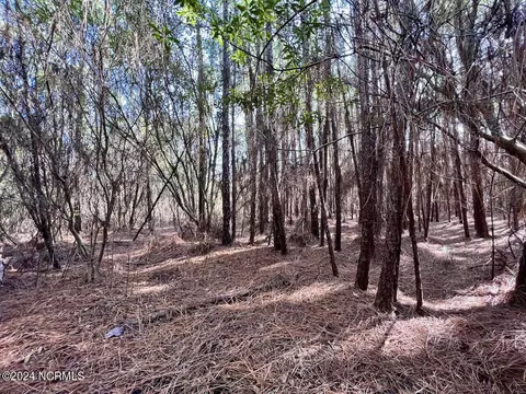 794 Wheaton Point Rd, Aurora, NC 27806 photo 21