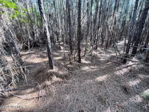 794 Wheaton Point Rd, Aurora, NC 27806 photo 29
