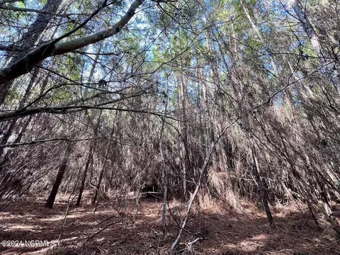 794 Wheaton Point Rd, Aurora, NC 27806 photo 22