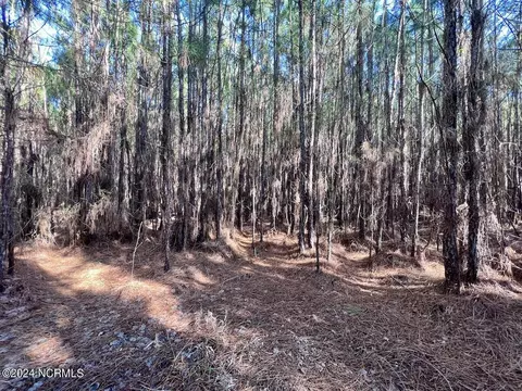 794 Wheaton Point Rd, Aurora, NC 27806 photo 51