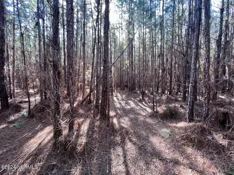 794 Wheaton Point Rd, Aurora, NC 27806 photo 50