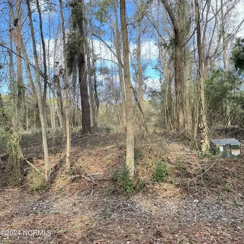 802 Sailhaven Dr, Oriental, NC 28571