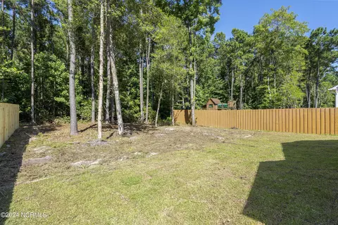 1151 Dan Owen Dr, Hampstead, NC 28443 photo 46