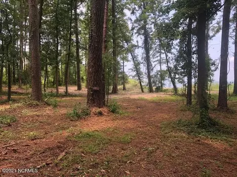 165 Hickory Point Rd, Aurora, NC 27806 photo 14