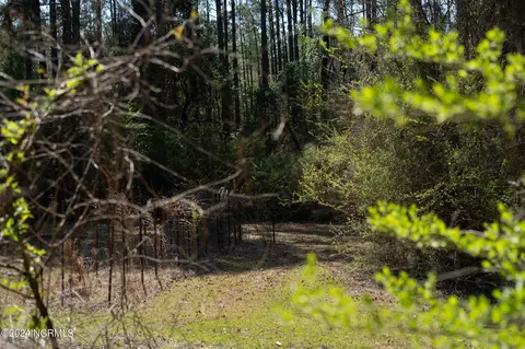 Other - 2146 Us-74, Hamlet, NC 28345 photo 12 of 20
