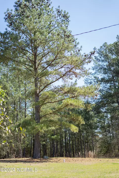 Other - 2146 Us-74, Hamlet, NC 28345 photo 17 of 20