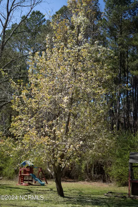 Exterior - 2146 Us-74, Hamlet, NC 28345 photo 20 of 20