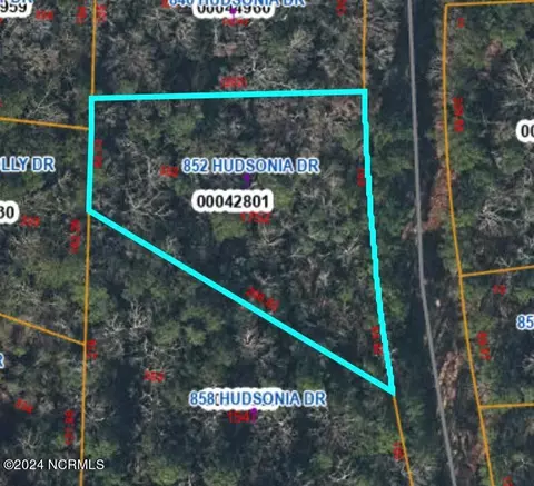 852 Hudsonia Dr, Vass, NC 28394