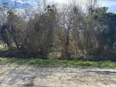 000 W Hayes St, Burgaw, NC 28425