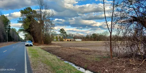 0 Wildcat Rd, Harrells, NC 28444 photo 6