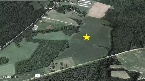 0 Wildcat Rd, Harrells, NC 28444 photo 7