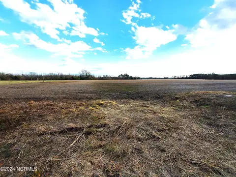 0 Wildcat Rd, Harrells, NC 28444 photo 5