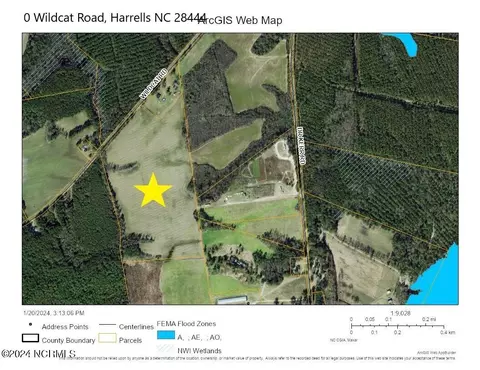 0 Wildcat Rd, Harrells, NC 28444 photo 8