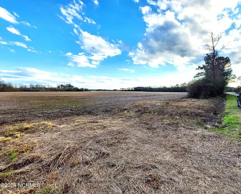 0 Wildcat Rd, Harrells, NC 28444 photo 3