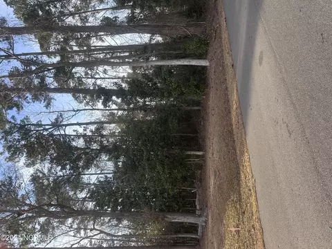 0 N Lloyd North St, Burgaw, NC 28425