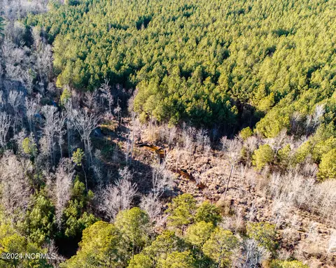 View/Area - 172 Wood River Rd, West End, NC 27376 photo 2 of 6