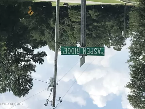 8 Aspen Ridge Ct, Deep Run, NC 28525