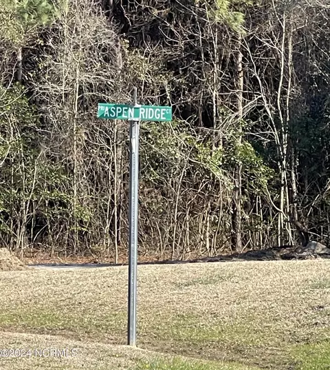 16 Aspen Ridge Ct, Deep Run, NC 28525