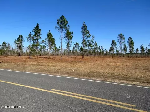 tbd Clark Rd, Maxton, NC 28364 photo 14