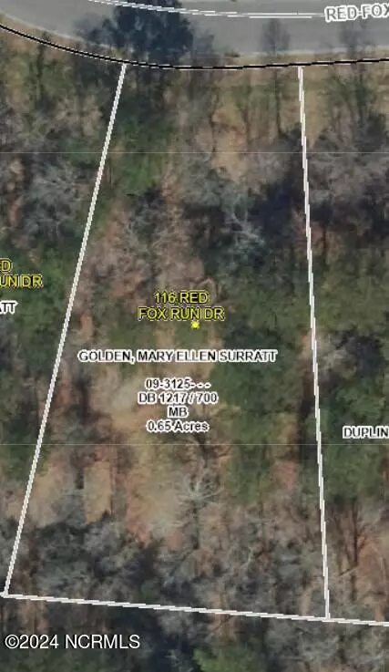 116 Red Fox Run Dr, Wallace, NC 28466