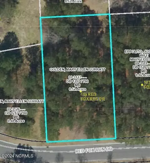 119 Red Fox Run Dr, Wallace, NC 28466