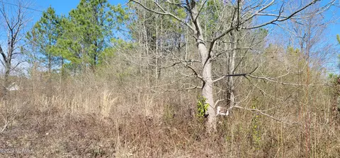 9170 County Line Rd, Rocky Mount, NC 27803