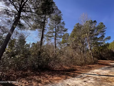 tbd Owen Taylor Ln, Magnolia, NC 28453
