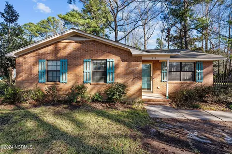 113 Woodberry Ct, Wilmington, NC 28411