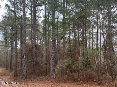 tbd Tarheel Dr, Hamlet, NC 28345 photo 3