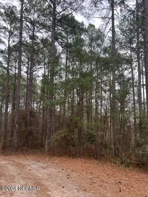 tbd Tarheel Dr, Hamlet, NC 28345 photo 2