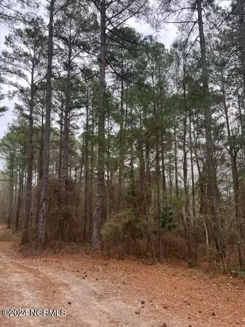 tbd Tarheel Dr, Hamlet, NC 28345 photo 6
