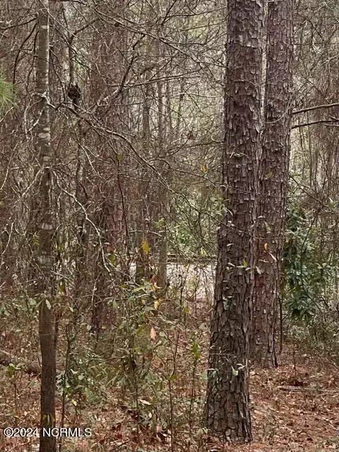 tbd Tarheel Dr, Hamlet, NC 28345 photo 5