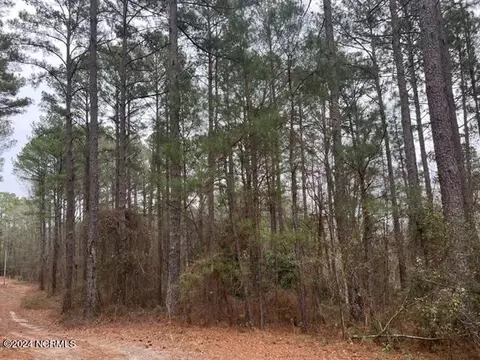 tbd Tarheel Dr, Hamlet, NC 28345