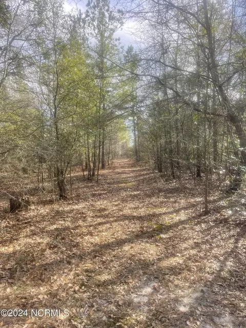 tbd Dixie Trl, Hamlet, NC 28345 photo 4