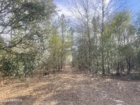 tbd Dixie Trl, Hamlet, NC 28345 photo 3
