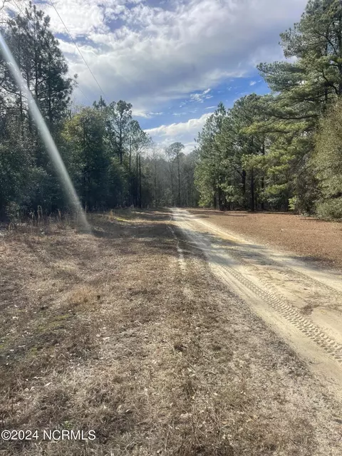 tbd Dixie Trl, Hamlet, NC 28345 photo 5