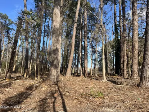 313 N 1st Ave, New Bern, NC 28560 photo 2