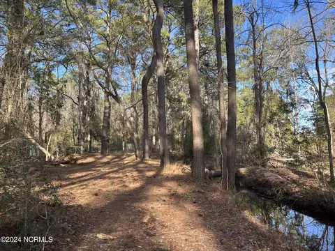 313 N 1st Ave, New Bern, NC 28560 photo 3