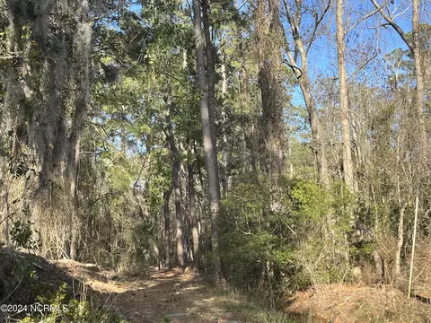 313 N 1st Ave, New Bern, NC 28560 photo 5