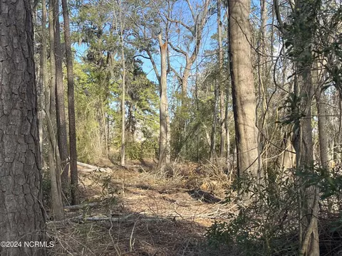313 N 1st Ave, New Bern, NC 28560 photo 6