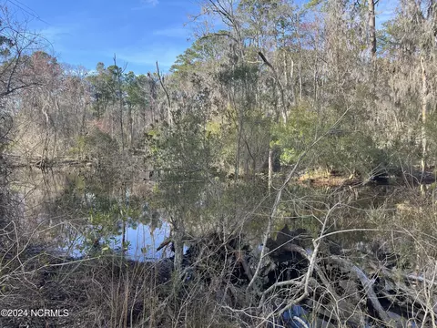313 N 1st Ave, New Bern, NC 28560 photo 7