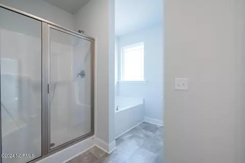 Bath - 149 Firethorn Cir, Wallace, NC 28466 photo 2 of 3