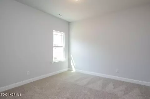 Other - 149 Firethorn Cir, Wallace, NC 28466 photo 8 of 9