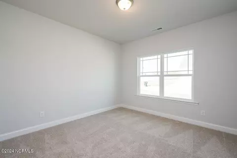 Other - 149 Firethorn Cir, Wallace, NC 28466 photo 7 of 9