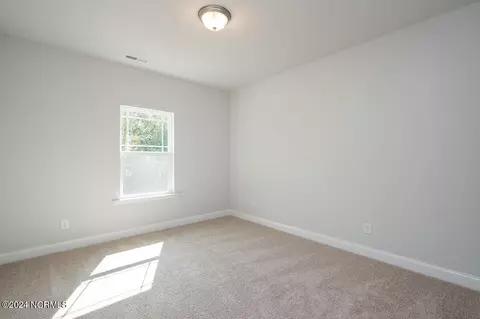 Other - 149 Firethorn Cir, Wallace, NC 28466 photo 9 of 9