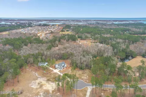 View/Area - 174 Colts Holw, Hampstead, NC 28443 photo 5 of 7