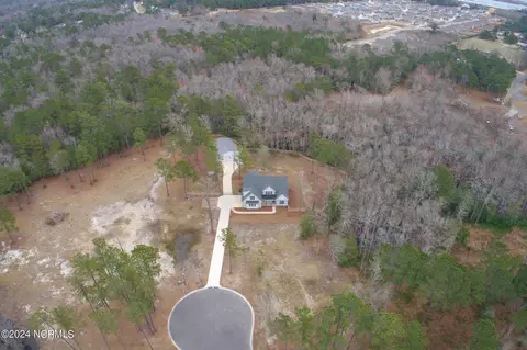 View/Area - 174 Colts Holw, Hampstead, NC 28443 photo 3 of 7