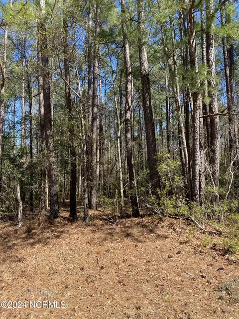 0 Page Rd, Burgaw, NC 28425
