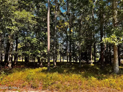 419 Cypress Landing Trl, Chocowinity, NC 27817